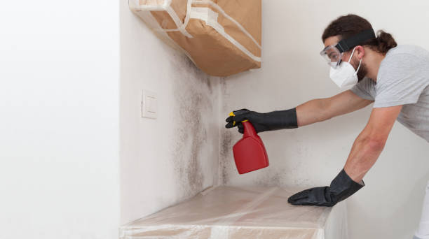 Professional Crawl Space Mold Removal technician working in Little Ferry, NJ
